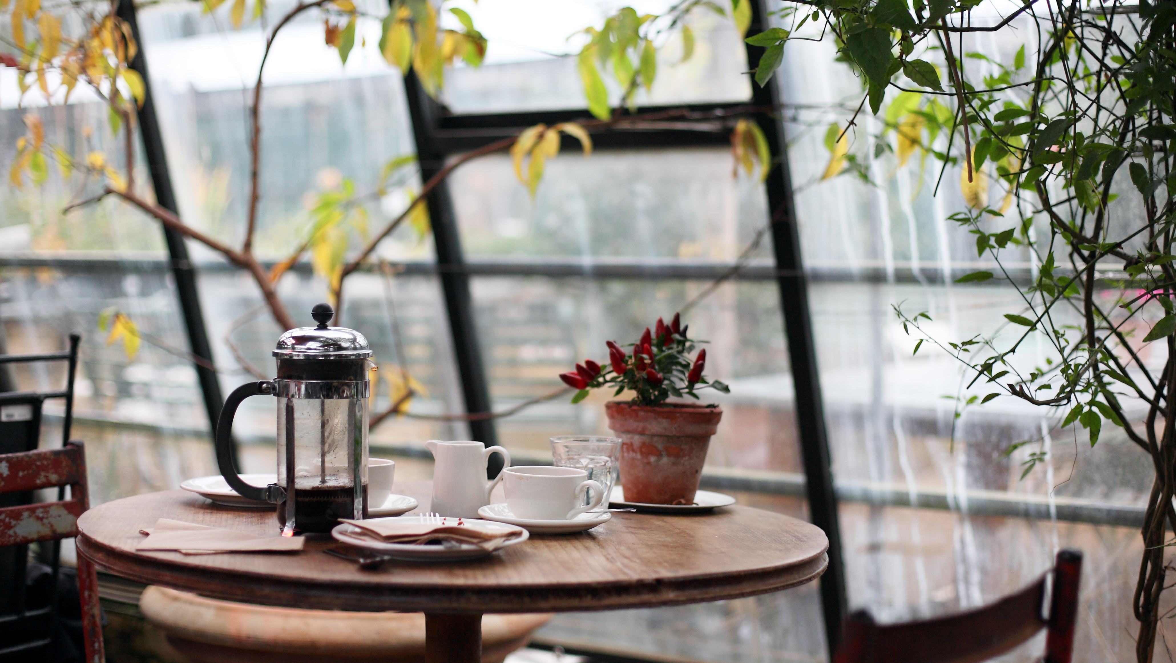 Cafe table with plants and window